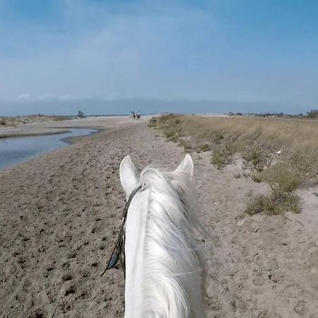 "Le Nature" Camargue Jardin Arles Luaran gambar